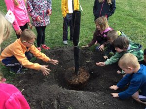 Central Elementary Students Planting Tree